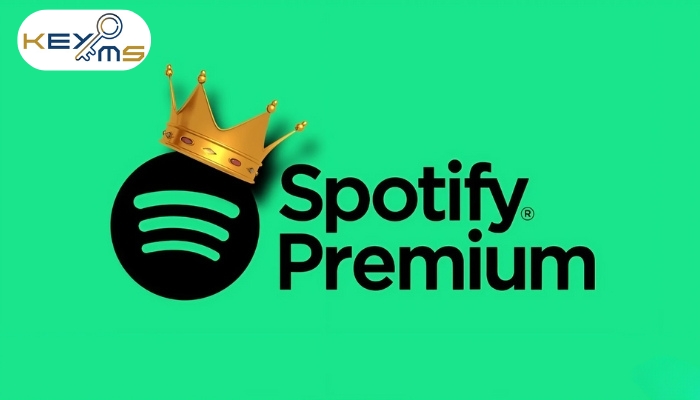 Nâng cấp tài khoản Spotify Premium chính chủ tại Ekeyms mức giá rẻ