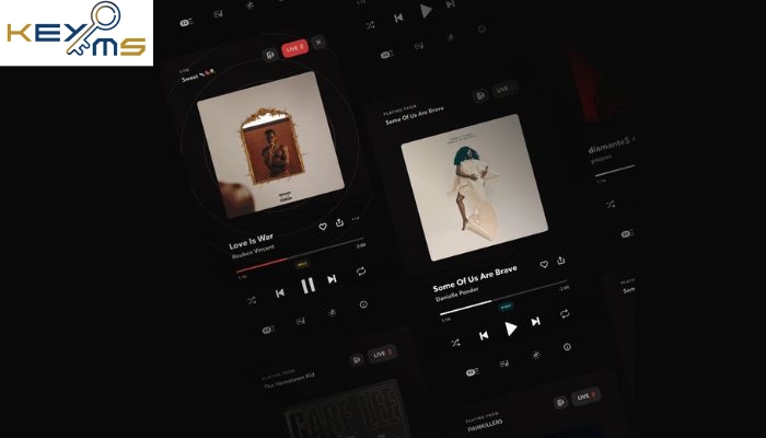 Lưu ý khi mua user Tidal HiFi Plus