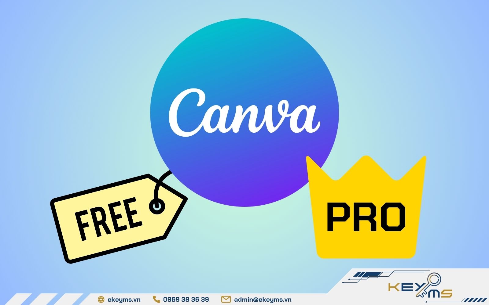 Sự khác biệt giữa tài khoản Canva Free và Canva Pro