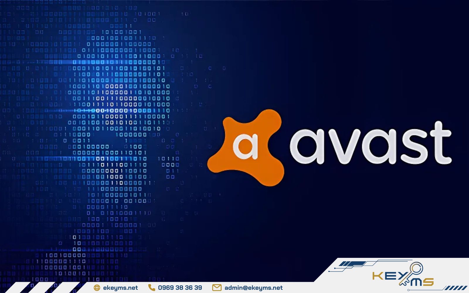 Avast giúp người dùng bảo vệ máy tính khỏi virus hiệu quả