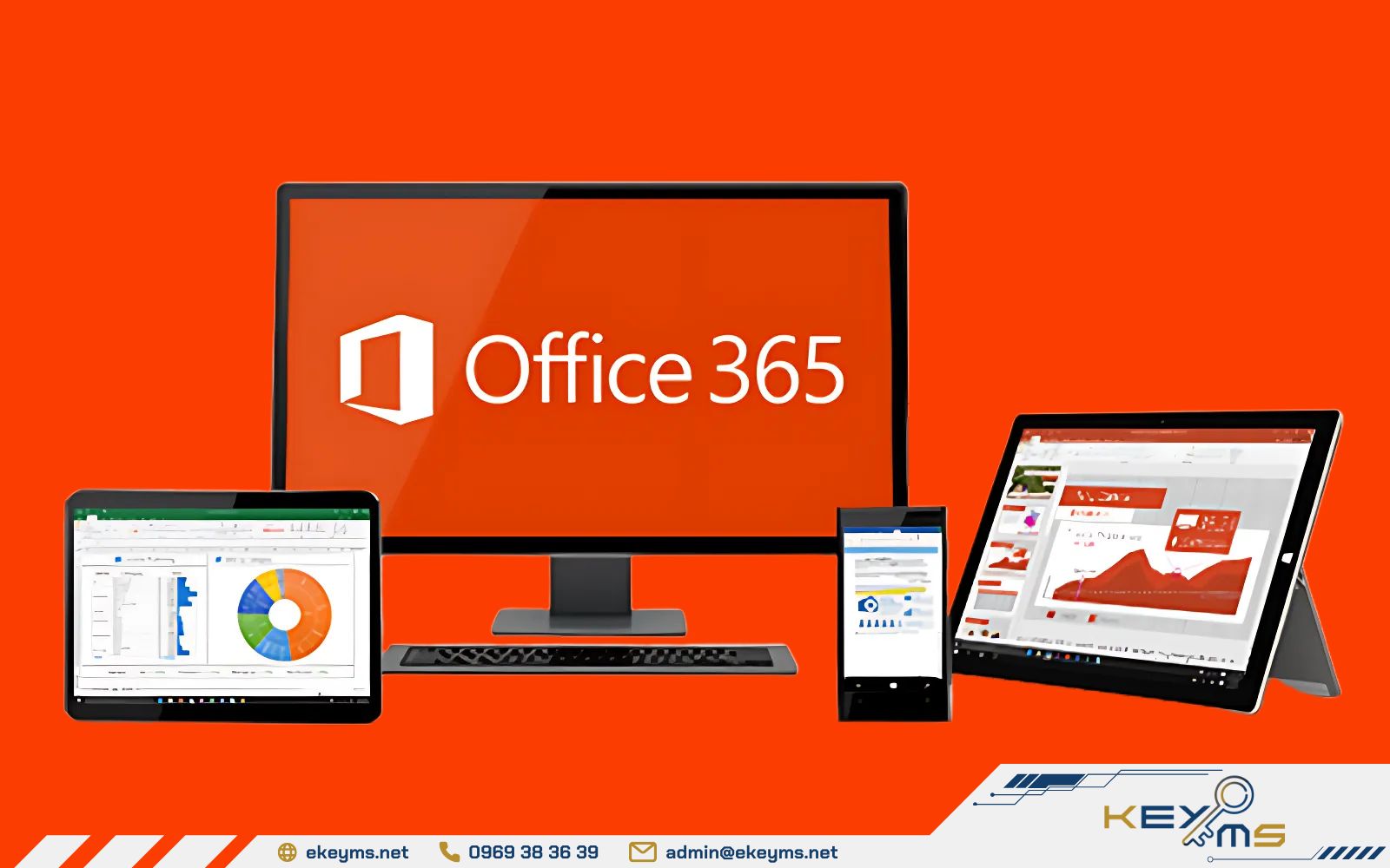 Bạn cần tải ứng dụng Micosoft Office 365 về và đăng nhập đúng tài khoản đã kích hoạt để sử dụng