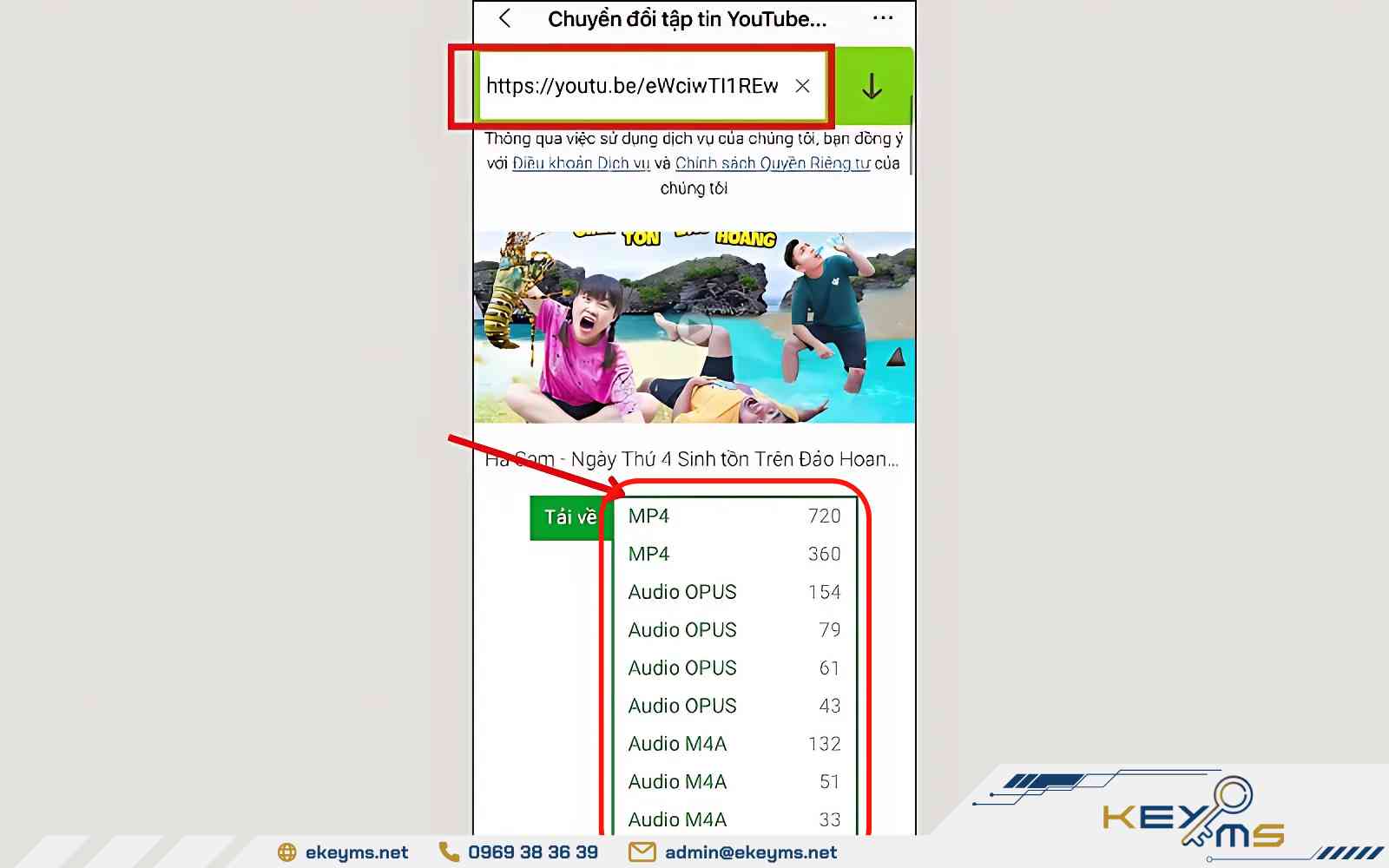 Lựa chọn định dạng file phù hợp và nhấn “Tải về”