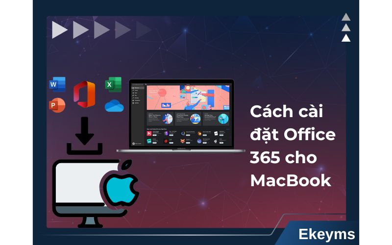 Hướng dẫn cách cài Office 365 cho MacBook