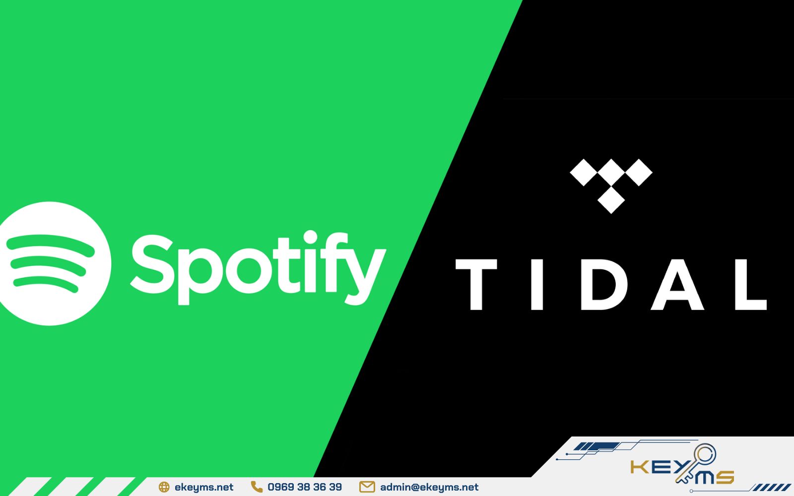 Điểm giống nhau giữa Tidal vs Spotify