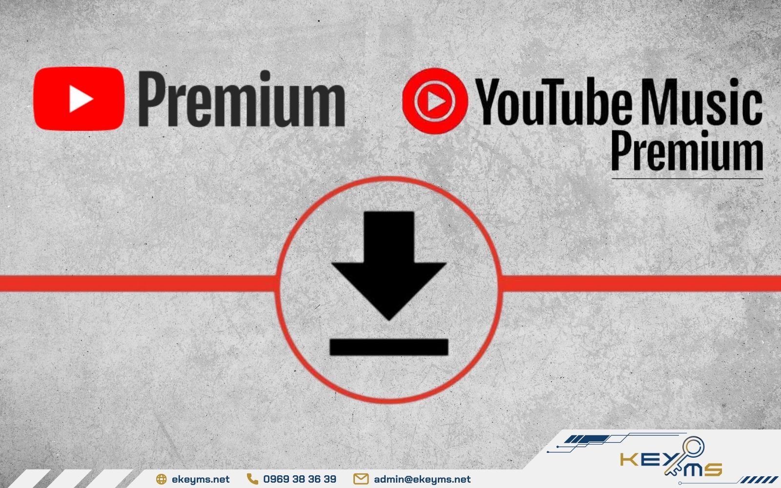YouTube Premium và YouTube Music Premium đều cho phép tải nhạc nghe offline
