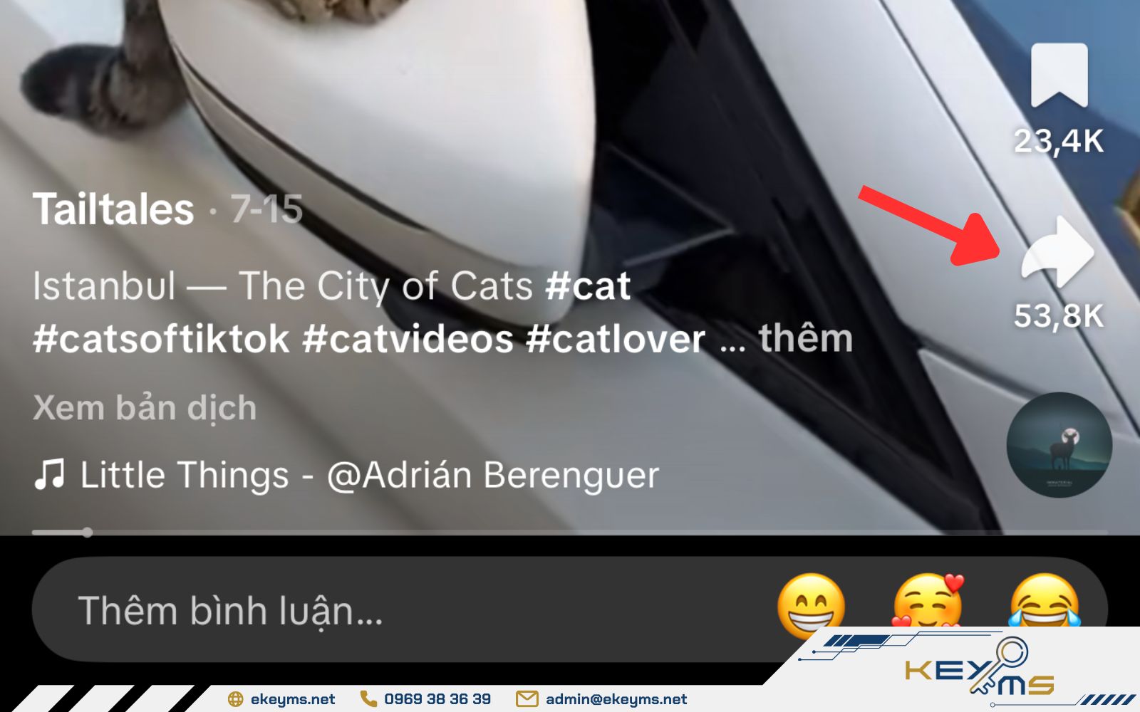 Tùy chọn âm thanh muốn tải về và nhấn nút chia sẻ trên TikTok