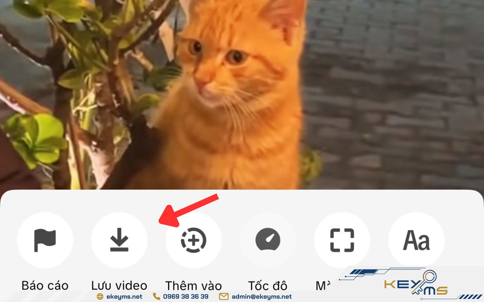 Nhấn nút lưu video để lưu âm thanh tiktok về máy