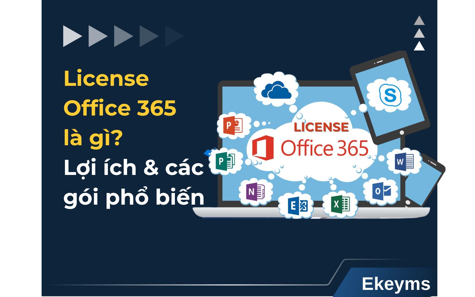 License Office 365 là gì?
