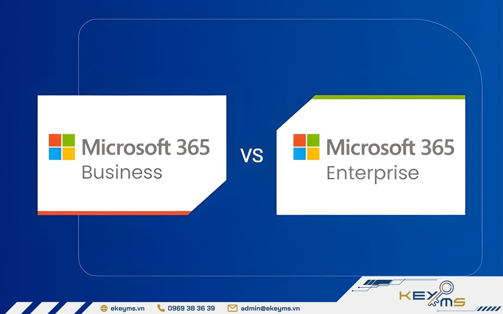 Nên chọn Microsoft 365 Business hay Enterprise?