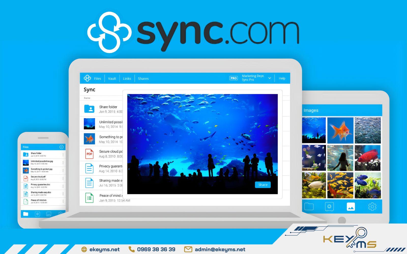 Sync.com là gì?