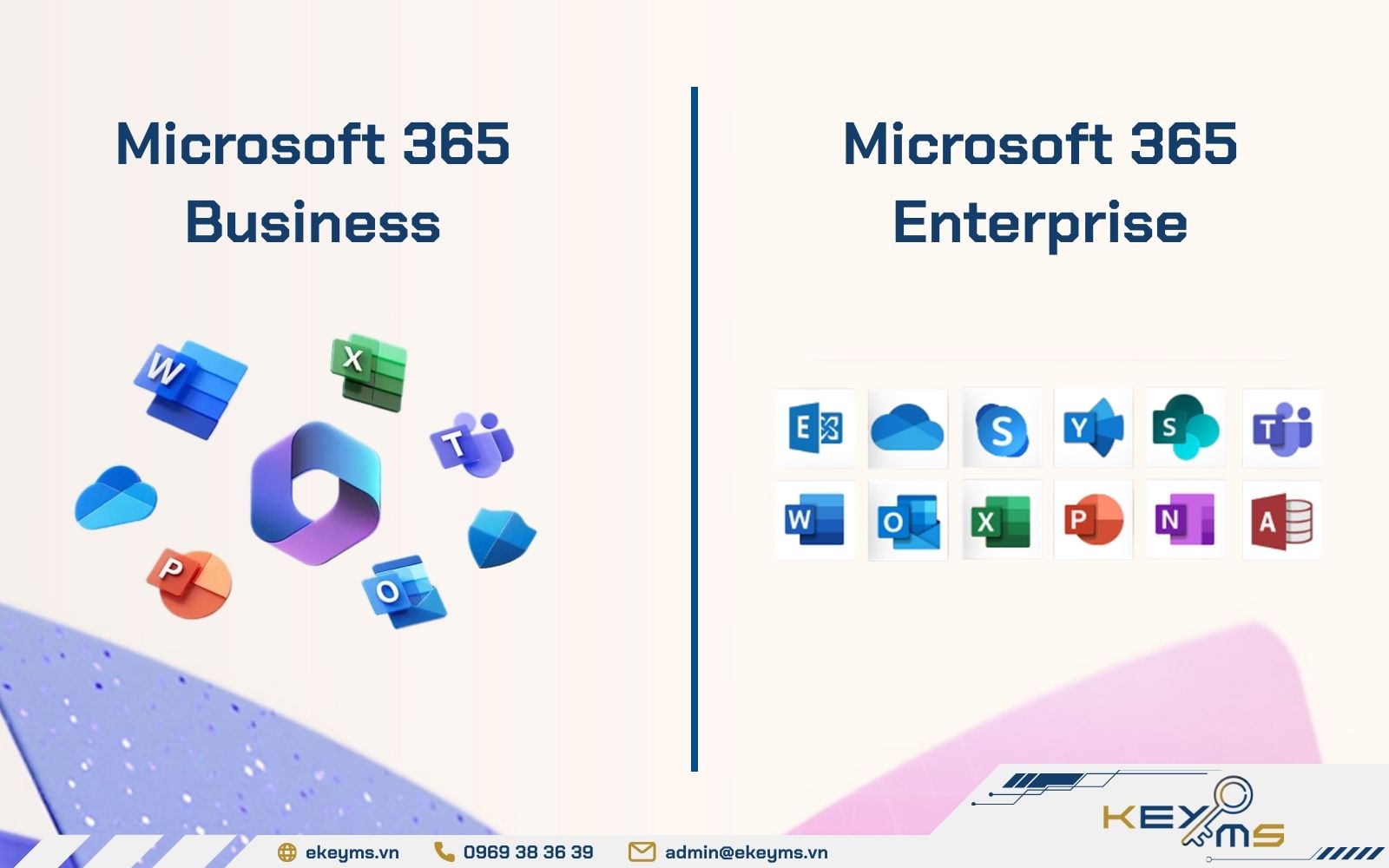 Microsoft 365 Business và Enterprise đều có Word, Excel, PowerPoint, Outlook