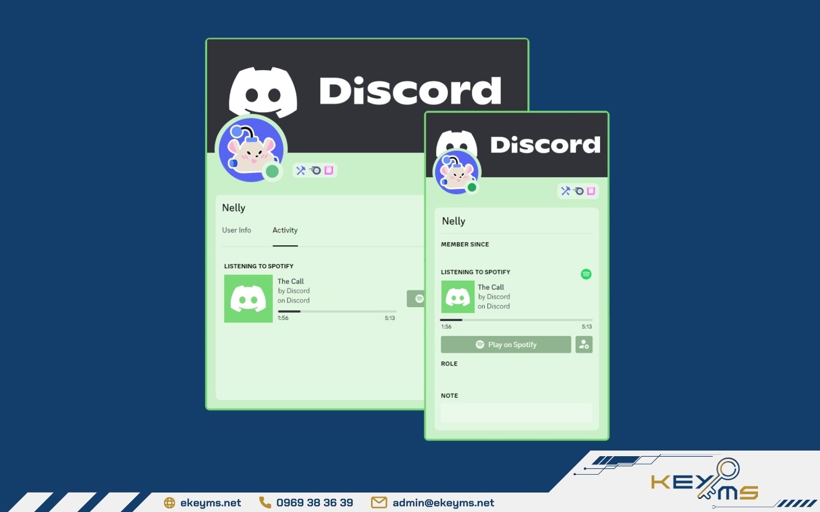 Cách sử dụng Spotify trên Discord sau kết nối